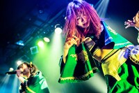 タマネ（撮影：Masayo）