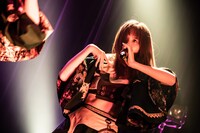 タマネ（撮影：Masayo）