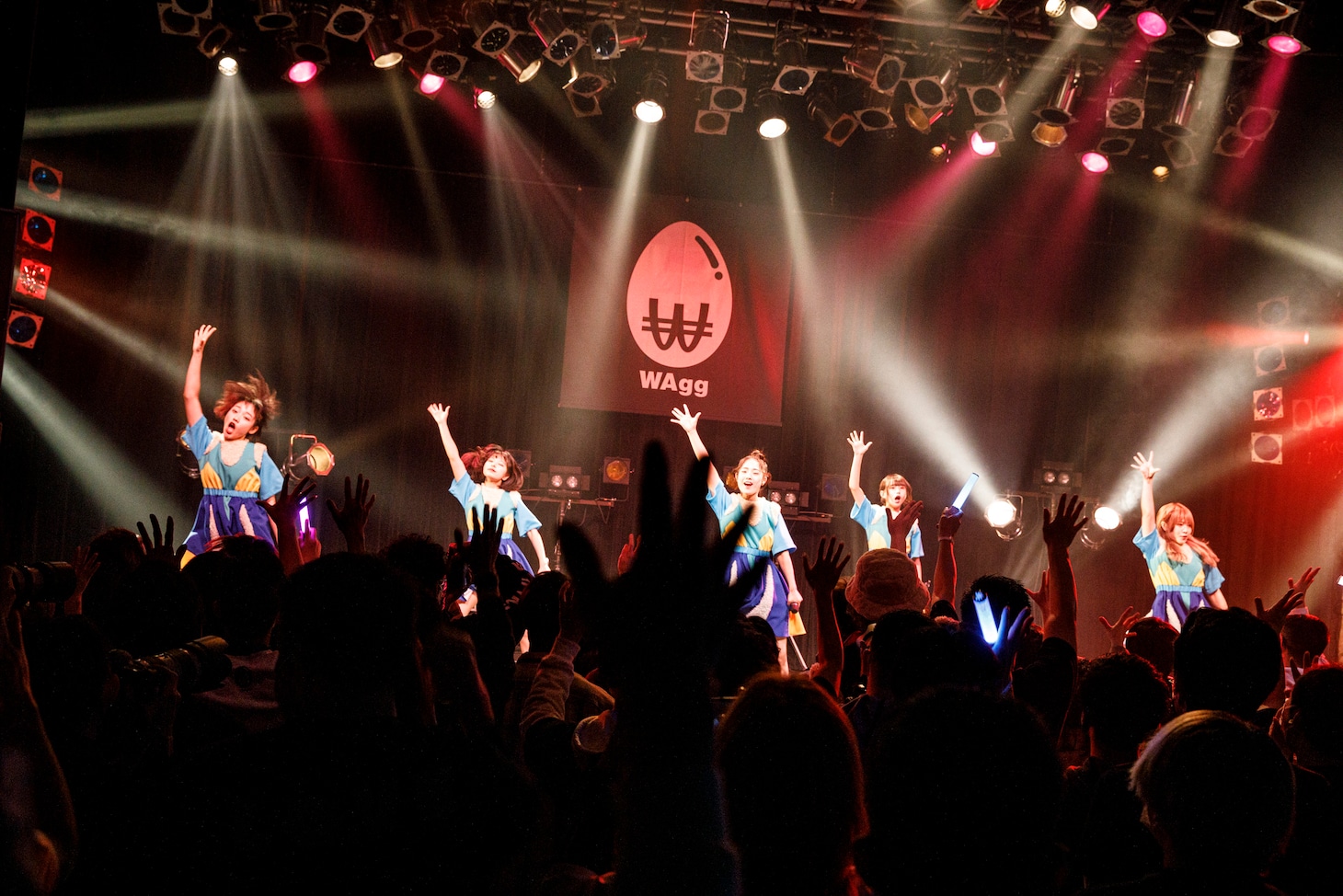 WAgg（Photo by sotobayashi kenta）