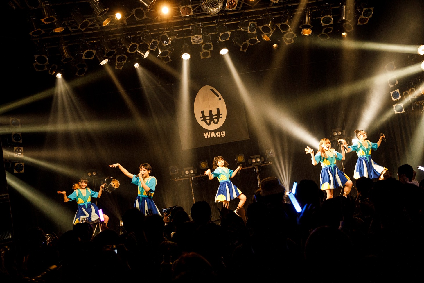 WAgg（Photo by sotobayashi kenta）