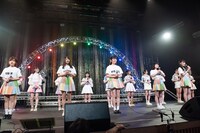 虹コン新メンバーオーディションのファイナリスト5名。