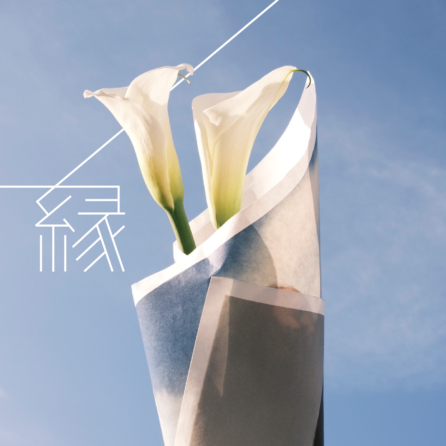 ヒグチアイ「縁」配信ジャケット