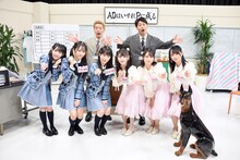 上段左からニューヨークの嶋佐和也、屋敷裕政、下段左から≠MEの本田珠由記、尾木波菜、冨田菜々風、=LOVEの齊藤なぎさ、佐々木舞香、野口衣織。