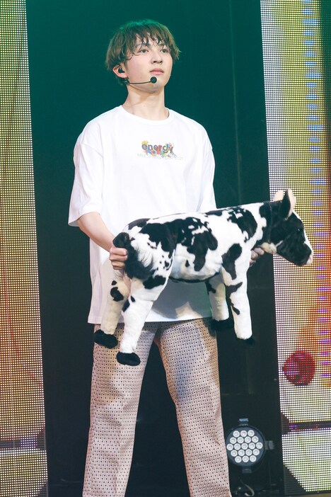 無表情で牛を振り続ける吉田仁人。(撮影:笹森健一)