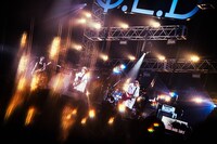 BLUE ENCOUNT「BLUE ENCOUNT ～Q.E.D : INITIALIZE～」横浜アリーナ公演の様子。（撮影：浜野カズシ）