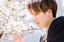 桜を見るRIKUさん。