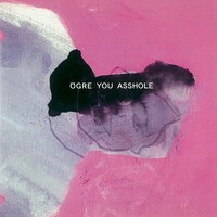 OGRE YOU ASSHOLE「平均は左右逆の期待」ジャケット