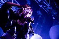 タマネ（撮影：Masayo）