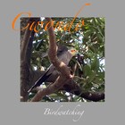 Cwondo、ニューシングル「Birdwatching」本日配信