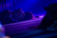 「私立恵比寿中学 Best at the moment series『6Voices』」ファイナル公演の様子。