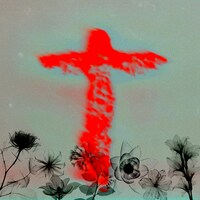 Lillies and Remains「Falling」配信ジャケット