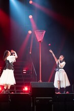 玉入れする赤組の小林歌穂（左）と真山りか（右）。