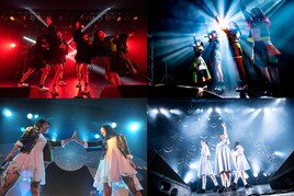 “楽曲派”と呼ばれるグループたち