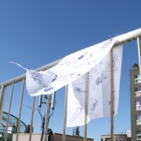 ライブナタリー 手ぬぐい