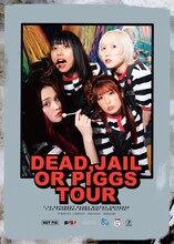 PIGGS「DEAD, JAIL OR PIGGS TOUR」告知ビジュアル