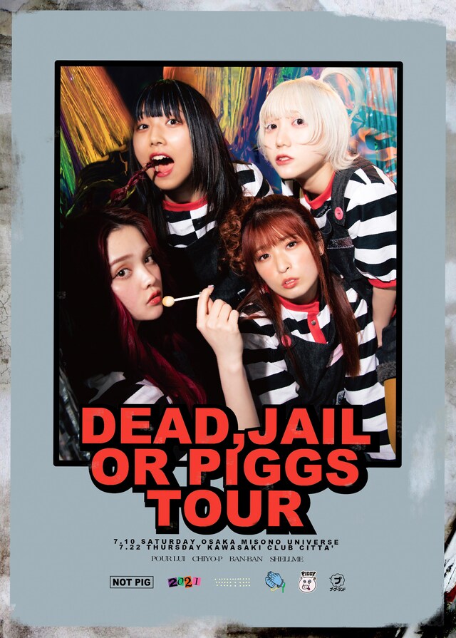 PIGGS「DEAD, JAIL OR PIGGS TOUR」告知ビジュアル