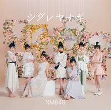 NMB48「シダレヤナギ」通常盤TYPE-Aジャケット