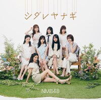 NMB48「シダレヤナギ」通常盤TYPE-Bジャケット