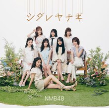 NMB48「シダレヤナギ」通常盤TYPE-Bジャケット