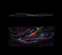 踊ってばかりの国「moana」ジャケット