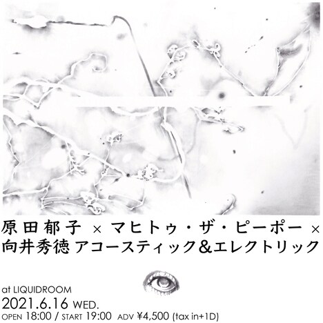 「LIQUIDROOM presents 原田郁子 × マヒトゥ・ザ・ピーポー × 向井秀徳アコースティック＆エレクトリック」フライヤー