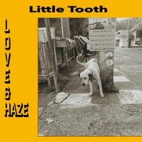 Little Tooth「Love & Haze」ジャケット