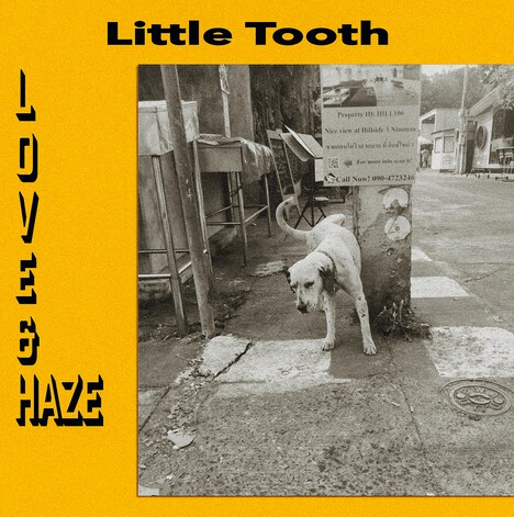 Little Tooth「Love & Haze」ジャケット