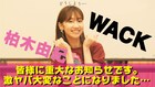 柏木由紀 × WACK所属7グループのコラボ曲、7作同時リリース決定
