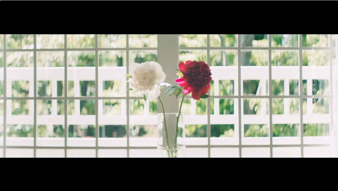 さとうもか「Love Buds」ミュージックビデオのワンシーン。