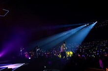 DISH//のツアーファイナルの様子。