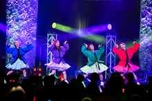 TEAM SHACHI（撮影：曽我美芽）