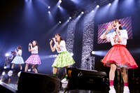 TEAM SHACHI（撮影：曽我美芽）