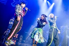 TEAM SHACHIとBOYS AND MENによるコラボの様子。（撮影：曽我美芽）