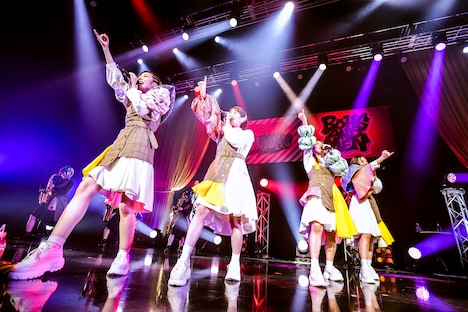 TEAM SHACHI（撮影：曽我美芽）