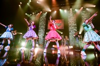 TEAM SHACHI（撮影：曽我美芽）