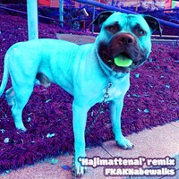 Nabewalks, JNKMN, NENE, Ryugo Ishida, Lunv Royal & JODY「Hajimattenai （FKAKNabewalks Remix）」配信ジャケット