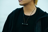 ピエール中野「WE-BD21d-pnk」使用イメージ