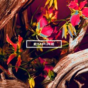 EMPiRE「HON-NO / IZA!!」DVD盤ジャケット