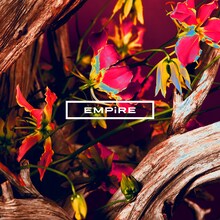 EMPiRE「HON-NO / IZA!!」DVD盤ジャケット