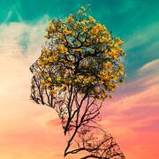 神はサイコロを振らない「徒夢の中で」配信ジャケット