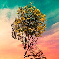 神はサイコロを振らない「徒夢の中で」配信ジャケット