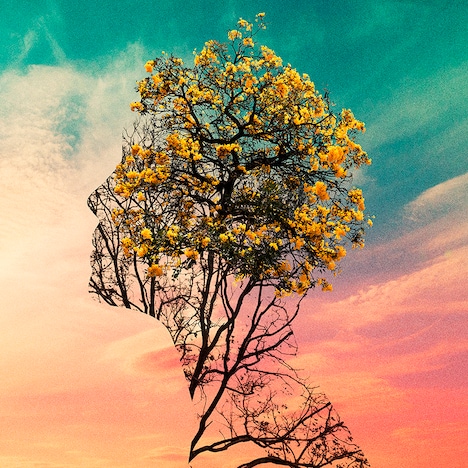 神はサイコロを振らない「徒夢の中で」配信ジャケット