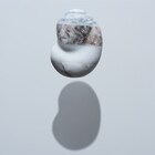 坂元裕二が原詞、LEO今井が英詞手がけた「大豆田とわ子と三人の元夫」挿入歌リリース