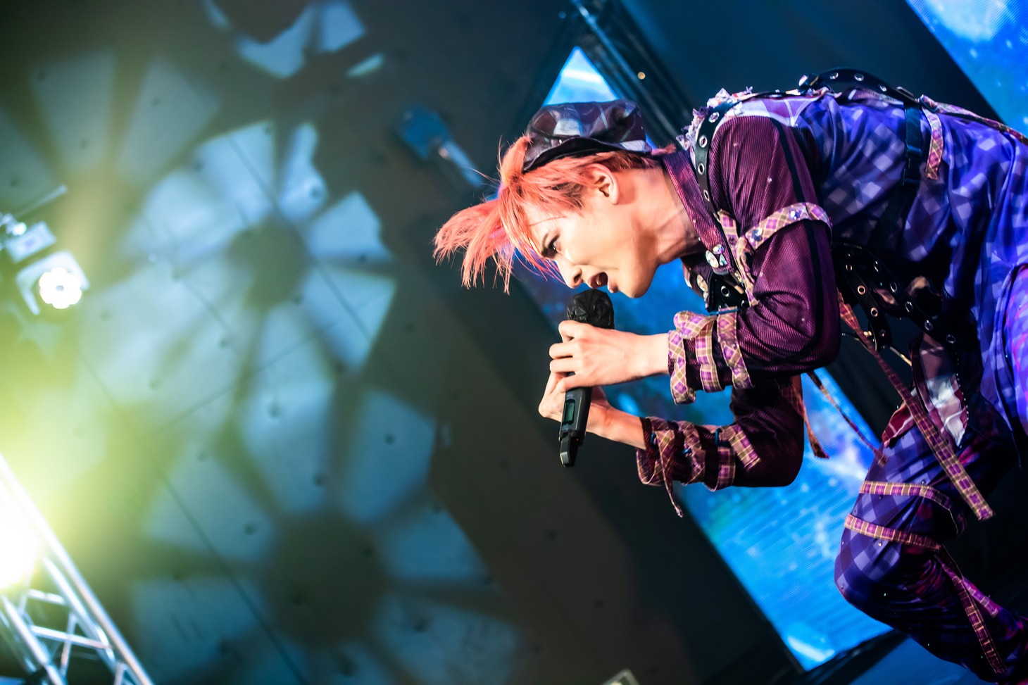 日が紅（Photo：Masayo）