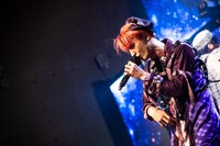 日が紅（Photo：Masayo）