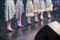 かすみ草とステラ（撮影：林晋介）