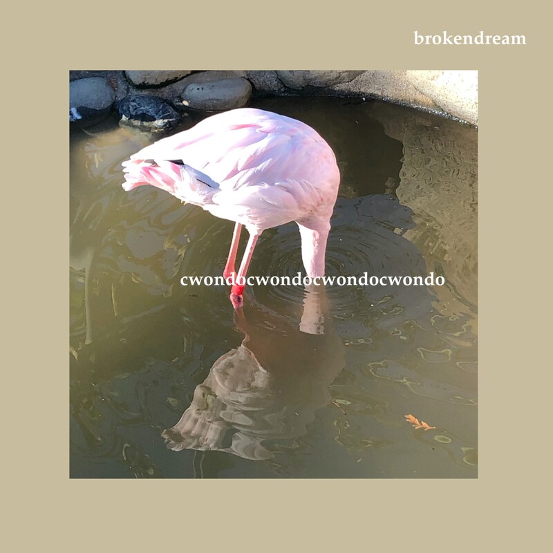 Cwondo「Broken Dream」配信ジャケット