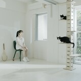 阿佐ヶ谷ロマンティクス「きっかけ」配信ジャケット