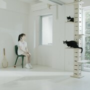 阿佐ヶ谷ロマンティクス「きっかけ」配信ジャケット