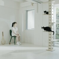 阿佐ヶ谷ロマンティクス「きっかけ」配信ジャケット